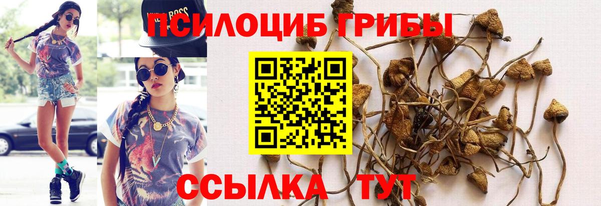 Галлюциногенные грибы GOLDEN TEACHER  Вход с VPN  Дятьково 